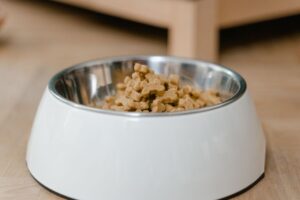 produtos para pets importados