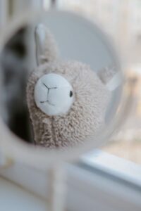 squishmallow importado