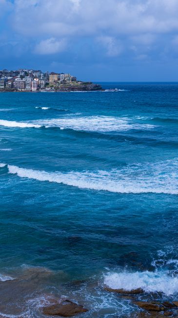 Bondi Sands importado