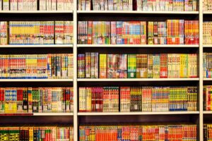 Light Novels e Artbooks do Japão