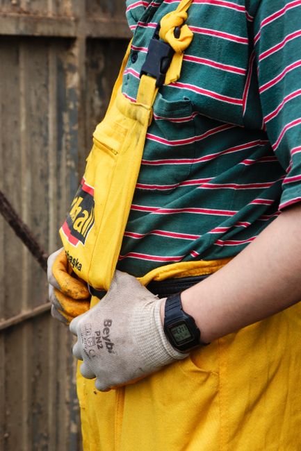 dickies importada