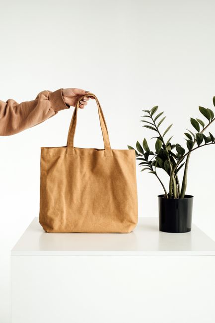 longchamp importada