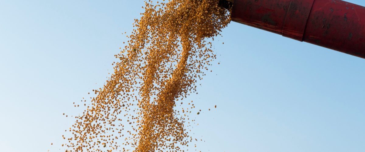 Importação de Soja