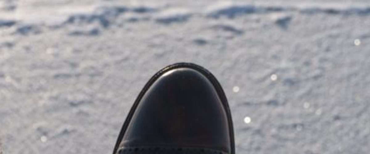 ll bean importada